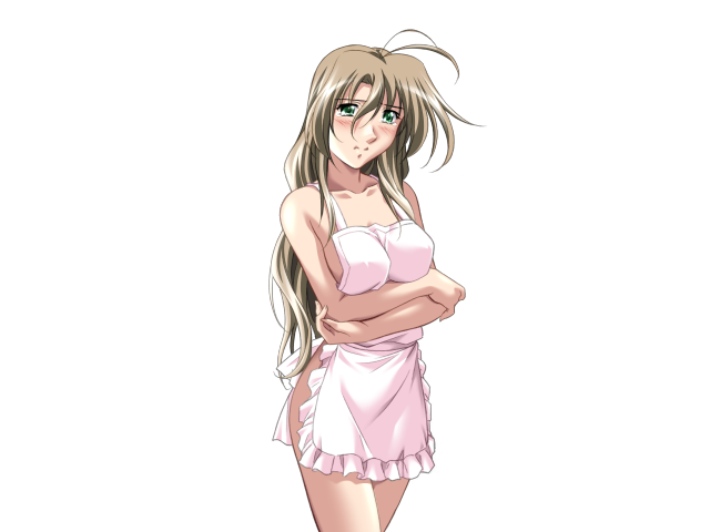 エッチなバニーさんは好きですか？ 2（打ち切り）