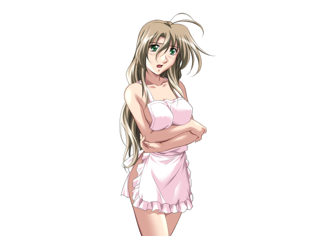 エッチなバニーさんは好きですか？ 2（打ち切り）