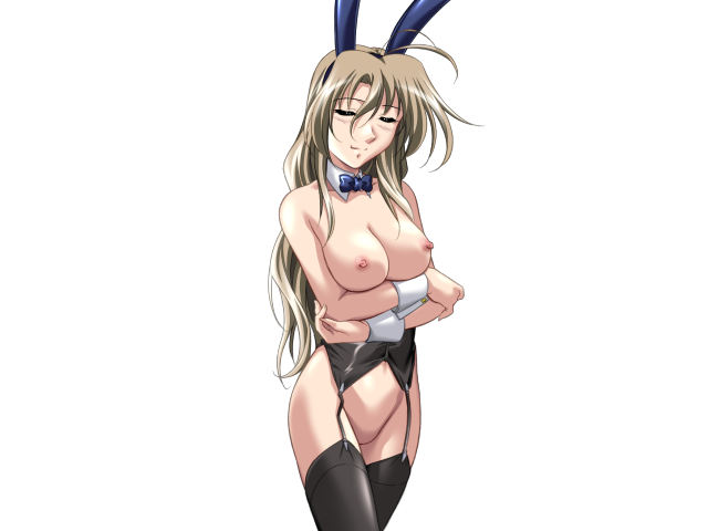 エッチなバニーさんは好きですか？ 2（打ち切り）