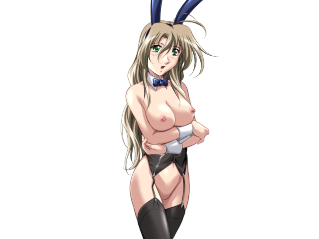 エッチなバニーさんは好きですか？ 2（打ち切り）