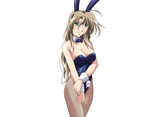 エッチなバニーさんは好きですか？ 2（打ち切り）