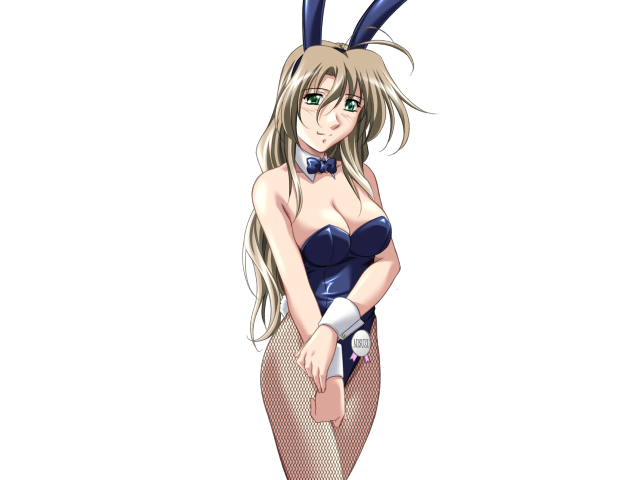エッチなバニーさんは好きですか？ 2（打ち切り）