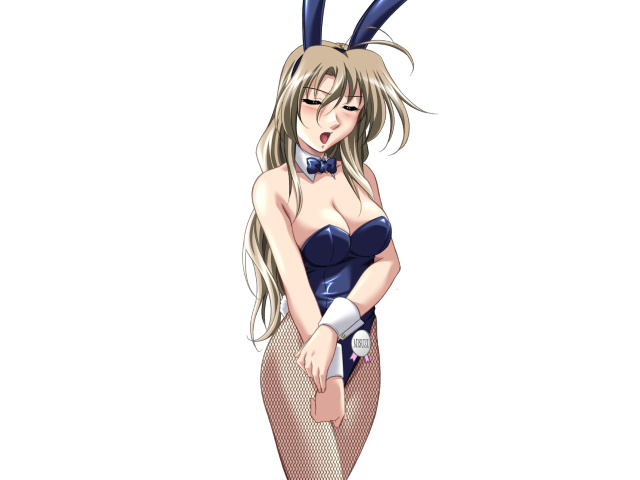 エッチなバニーさんは好きですか？ 2（打ち切り）