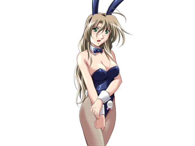エッチなバニーさんは好きですか？ 2（打ち切り）