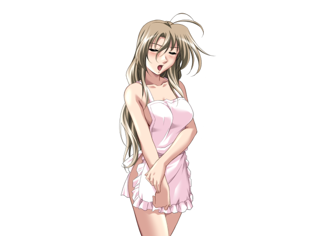 エッチなバニーさんは好きですか？ 2（打ち切り）