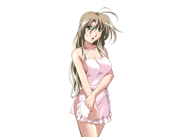 エッチなバニーさんは好きですか？ 2（打ち切り）