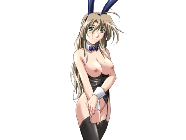 エッチなバニーさんは好きですか？ 2（打ち切り）