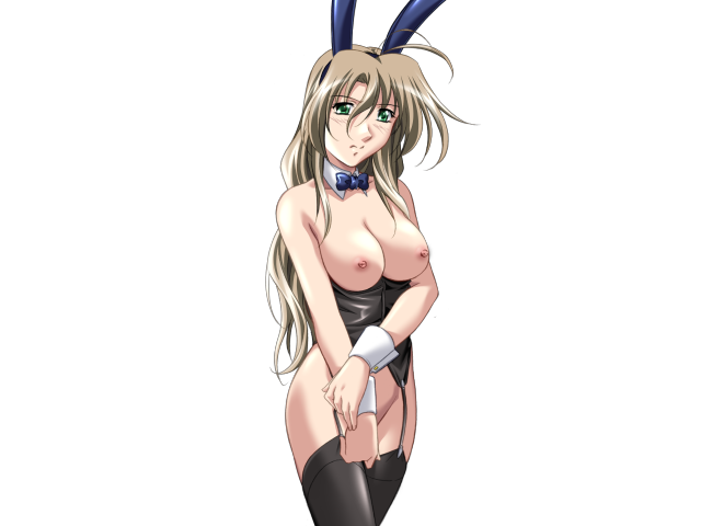 エッチなバニーさんは好きですか？ 2（打ち切り）
