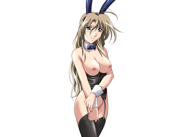 エッチなバニーさんは好きですか？ 2（打ち切り）