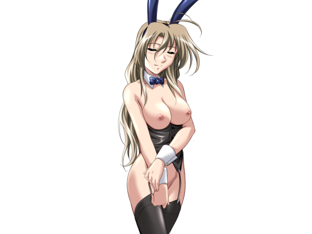 エッチなバニーさんは好きですか？ 2（打ち切り）