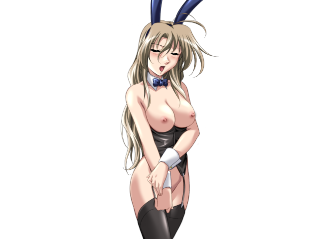 エッチなバニーさんは好きですか？ 2（打ち切り）