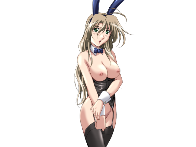 エッチなバニーさんは好きですか？ 2（打ち切り）