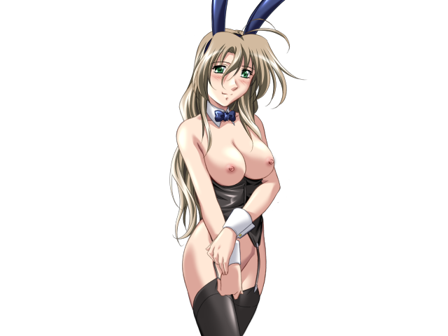 エッチなバニーさんは好きですか？ 2（打ち切り）