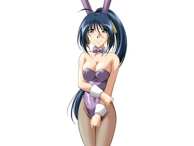 エッチなバニーさんは好きですか？ 2（打ち切り）