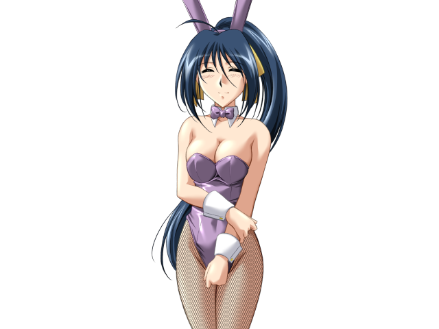 エッチなバニーさんは好きですか？ 2（打ち切り）