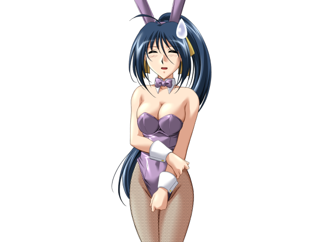 エッチなバニーさんは好きですか？ 2（打ち切り）
