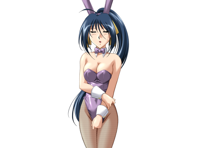 エッチなバニーさんは好きですか？ 2（打ち切り）