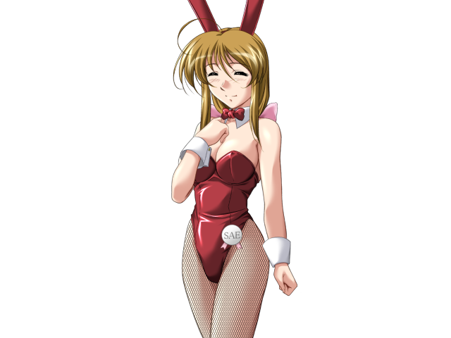 エッチなバニーさんは好きですか？ 2（打ち切り）