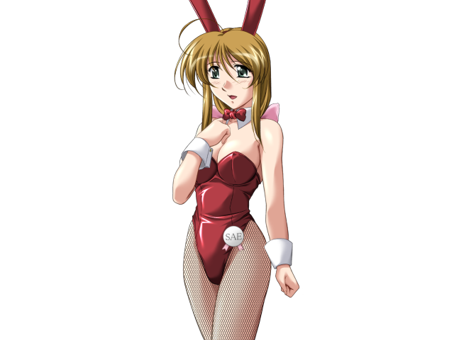 エッチなバニーさんは好きですか？ 2（打ち切り）