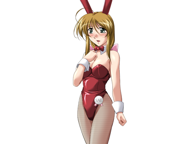 エッチなバニーさんは好きですか？ 2（打ち切り）