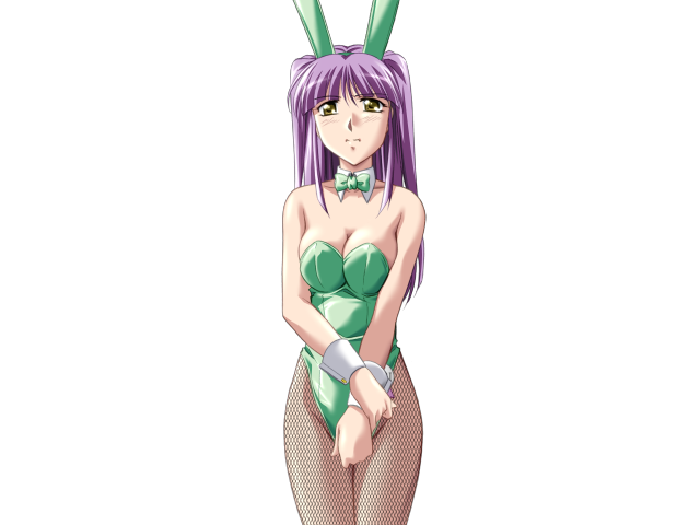 エッチなバニーさんは好きですか？ 2（打ち切り）