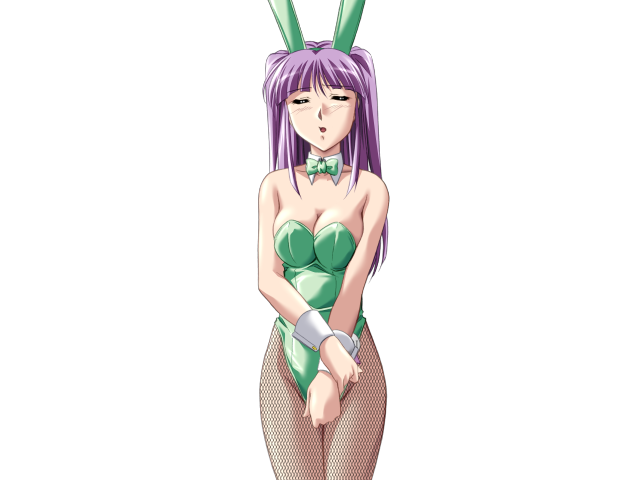エッチなバニーさんは好きですか？ 2（打ち切り）