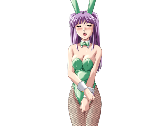 エッチなバニーさんは好きですか？ 2（打ち切り）