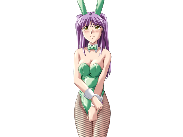 エッチなバニーさんは好きですか？ 2（打ち切り）