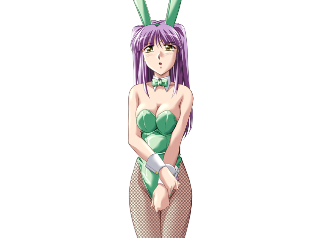 エッチなバニーさんは好きですか？ 2（打ち切り）