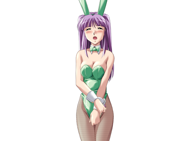 エッチなバニーさんは好きですか？ 2（打ち切り）