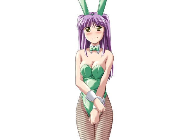 エッチなバニーさんは好きですか？ 2（打ち切り）