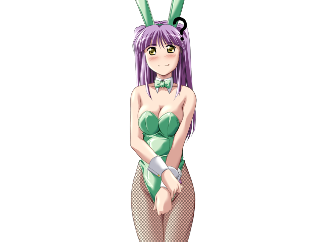 エッチなバニーさんは好きですか？ 2（打ち切り）