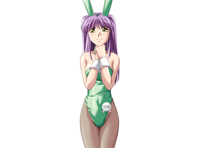 エッチなバニーさんは好きですか？ 2（打ち切り）