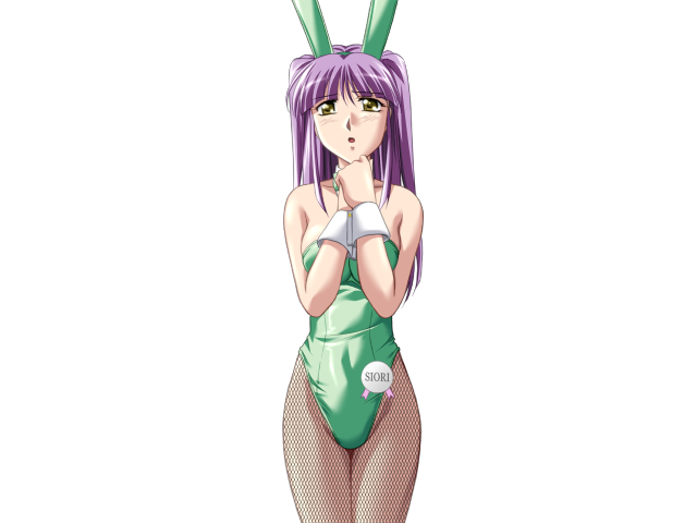 エッチなバニーさんは好きですか？ 2（打ち切り）