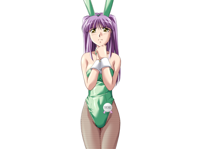 エッチなバニーさんは好きですか？ 2（打ち切り）