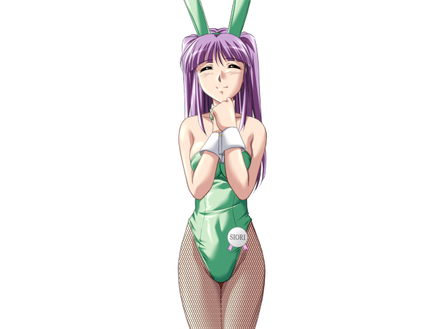 エッチなバニーさんは好きですか？ 2（打ち切り）