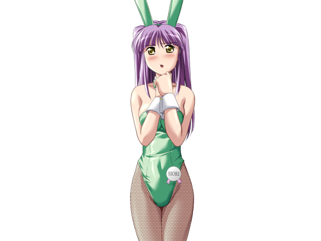 エッチなバニーさんは好きですか？ 2（打ち切り）