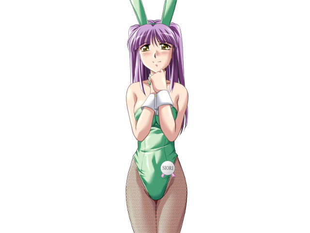 エッチなバニーさんは好きですか？ 2（打ち切り）