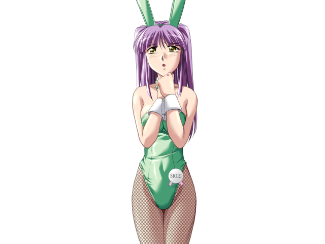 エッチなバニーさんは好きですか？ 2（打ち切り）