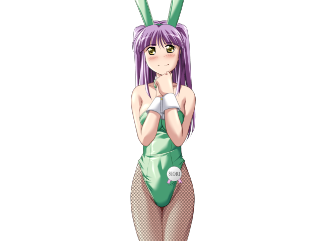エッチなバニーさんは好きですか？ 2（打ち切り）