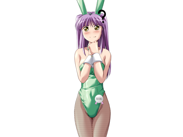 エッチなバニーさんは好きですか？ 2（打ち切り）