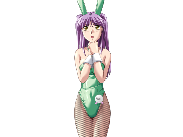 エッチなバニーさんは好きですか？ 2（打ち切り）