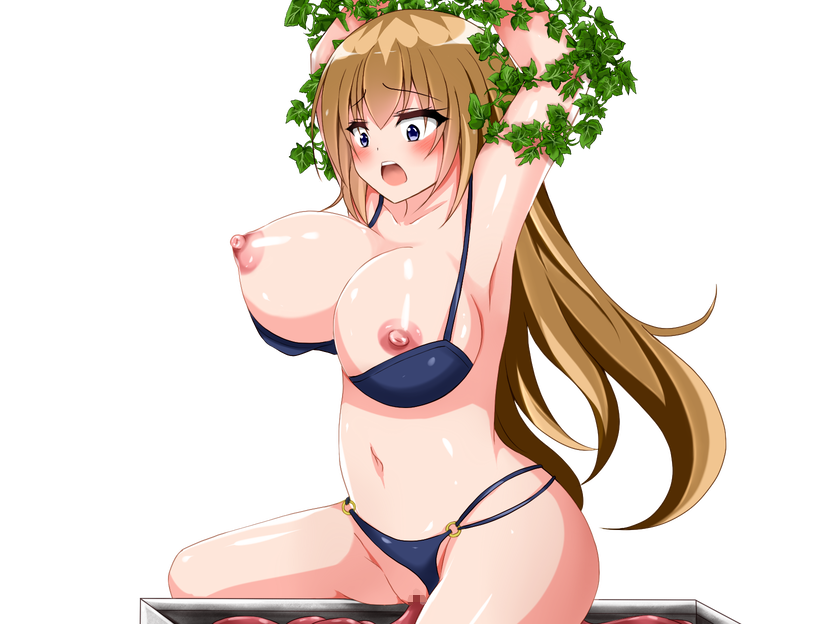 セレーネ姉妹の無私の夜の動き