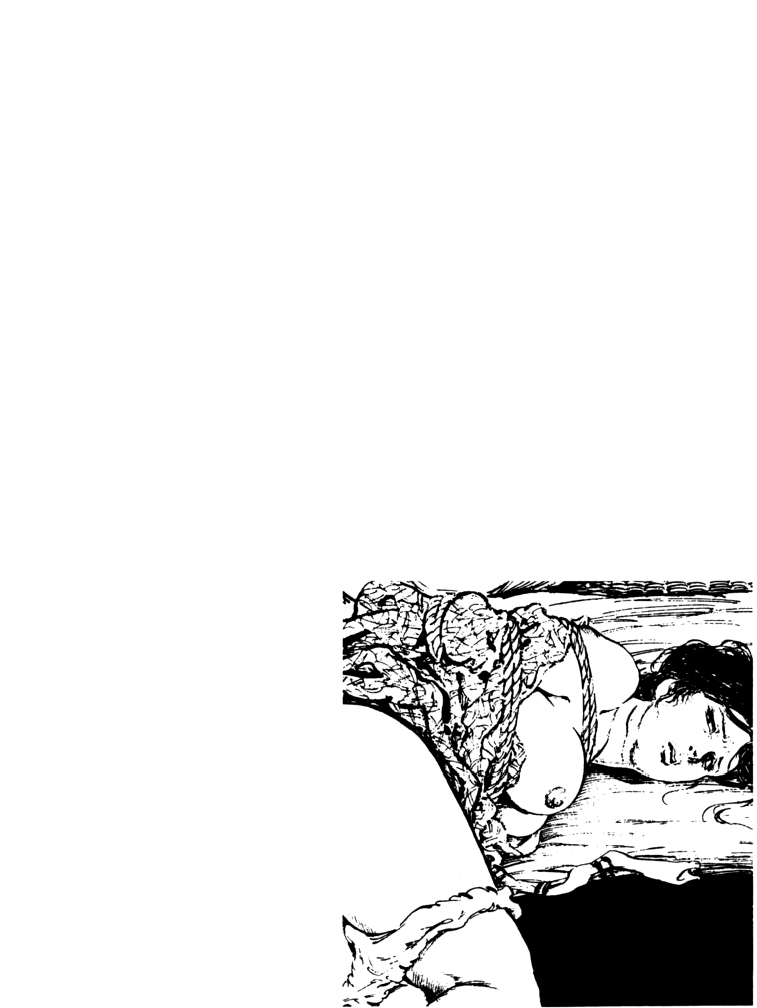 [団鬼六, 笠間しろう]団鬼六原作劇画集成 2