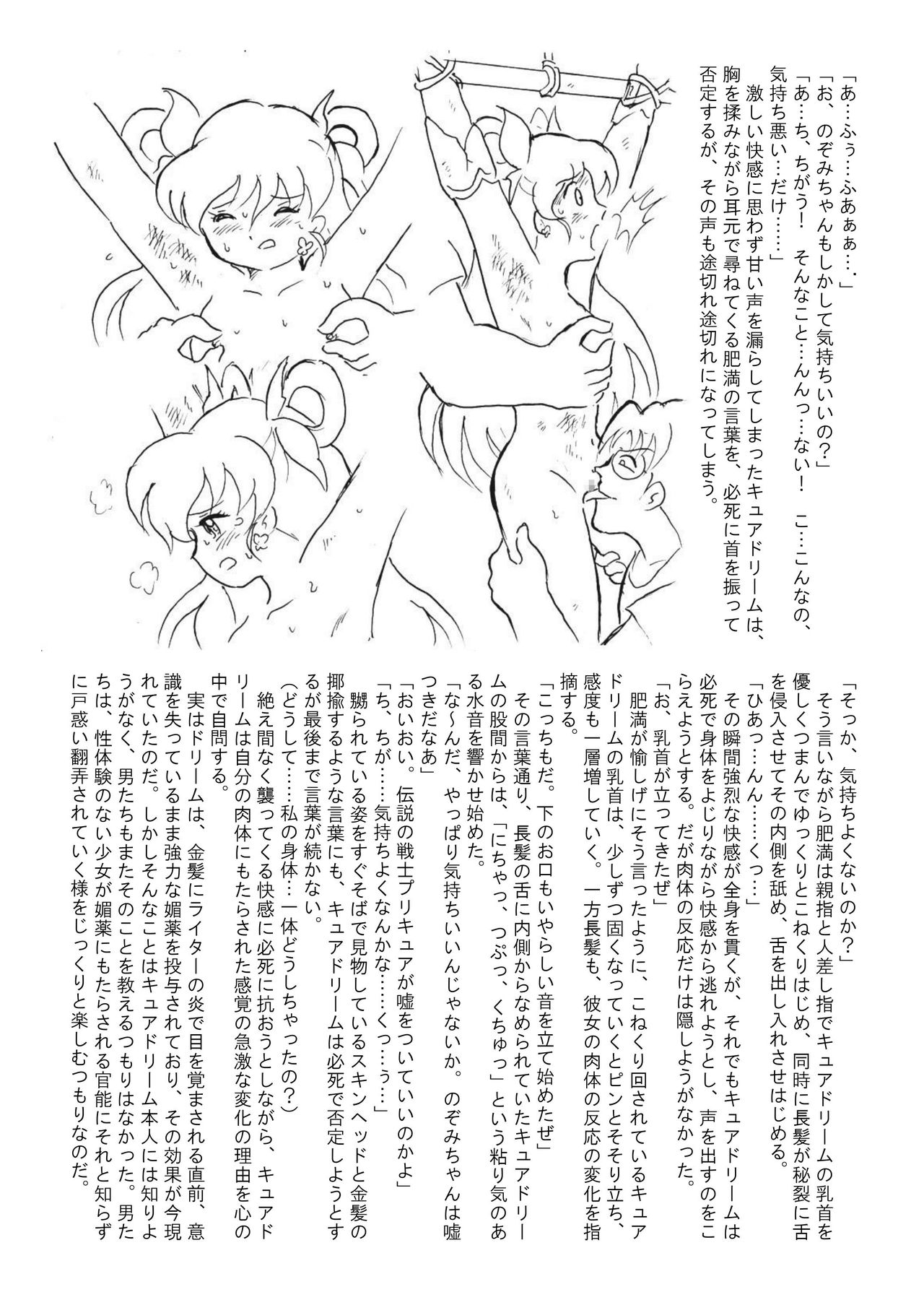 [丁字屋残党 (松本けんじ)] 滅しゆく希望の光 (Yes! プリキュア5)