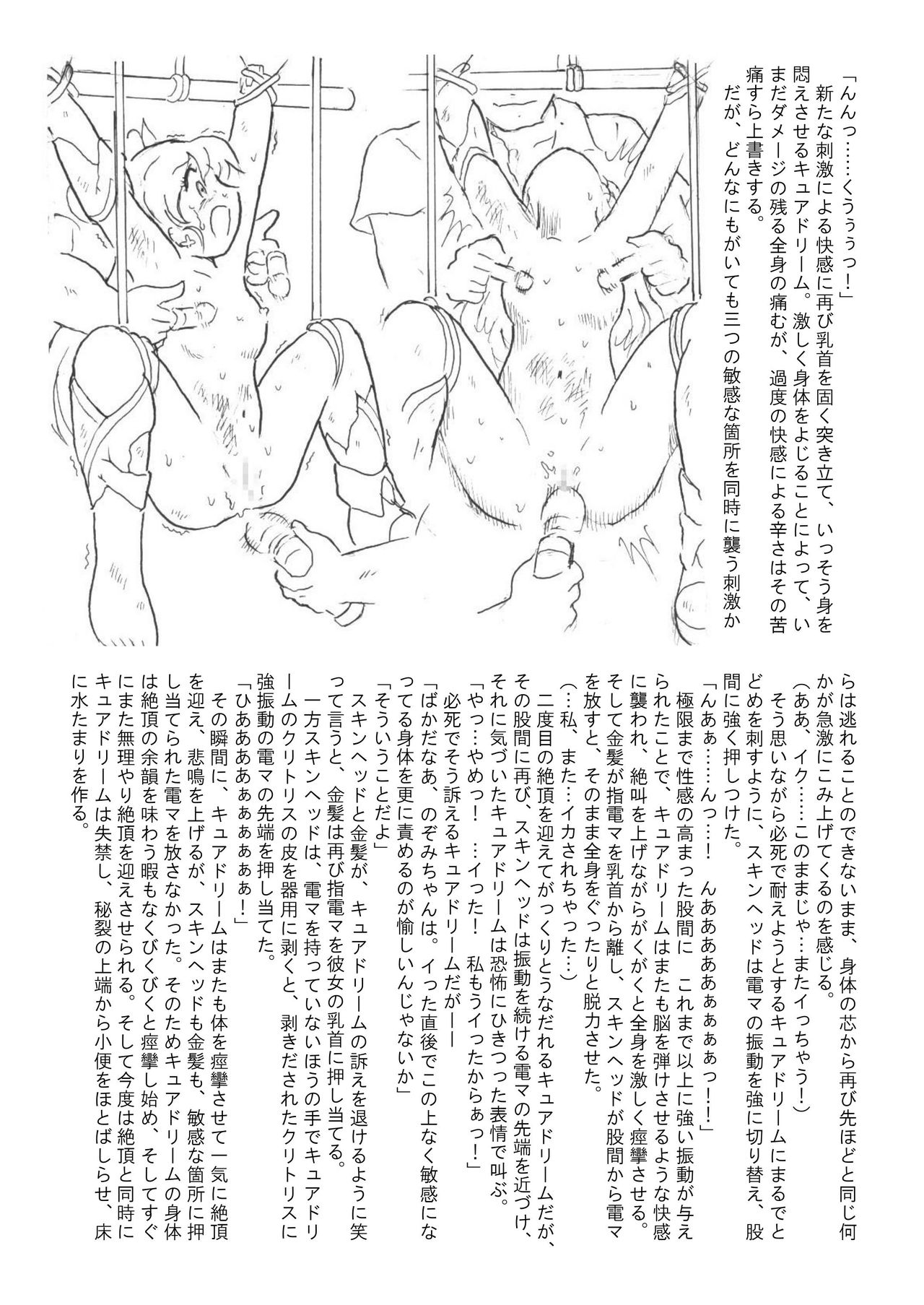 [丁字屋残党 (松本けんじ)] 滅しゆく希望の光 (Yes! プリキュア5)
