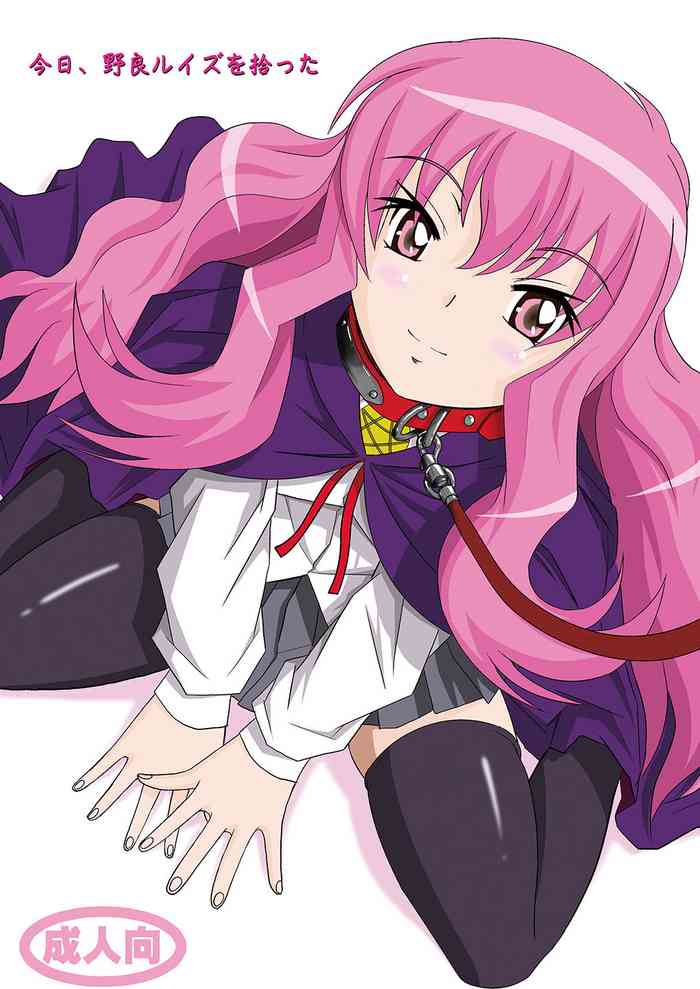 [はるほん堂 (はるほんや)] 今日、野良ルイズを拾った (ゼロの使い魔) [DL版]