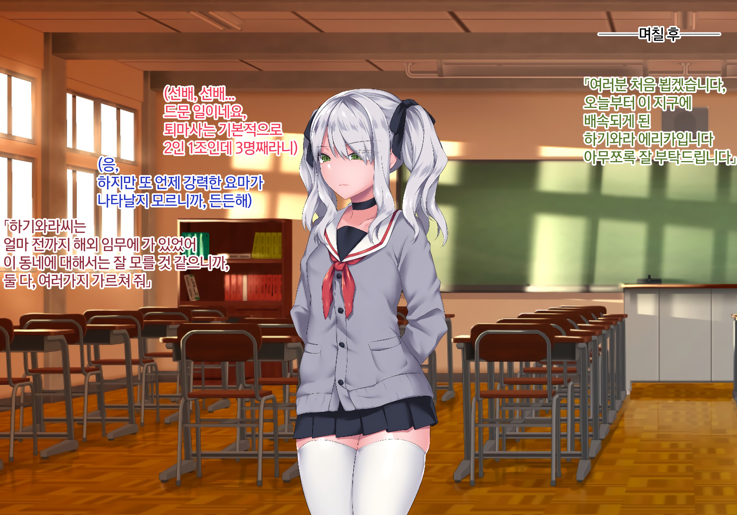 三毛の夜