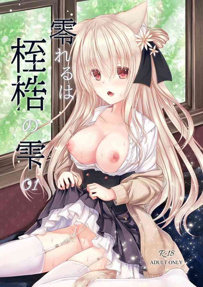 [わたあめのしずく (宵月ましろ)] 零れるは桎梏の雫 [DL版]