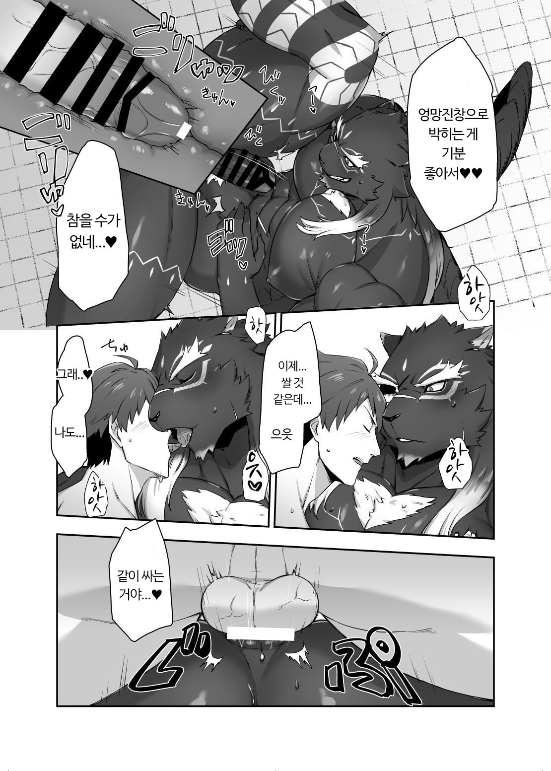 貪欲なオス猫 貪欲なオス猫